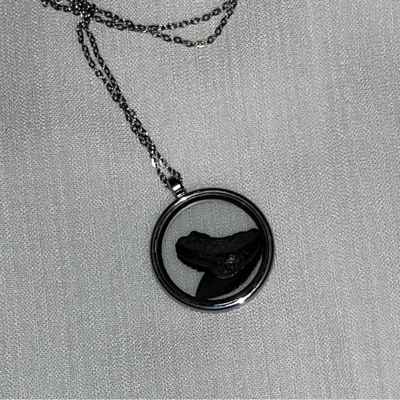 Sharks tooth locket necklace - Picture 6 of 7
